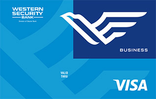 Sample Visa Business Card.